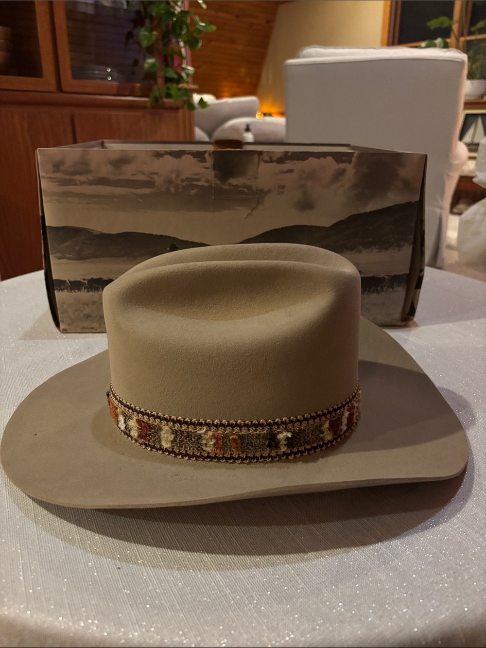 Stetson Taupe Western Hat with Patterned Band